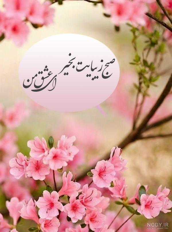 عکس صبح بخیر متحرک عکس صبح بخیر متحرک