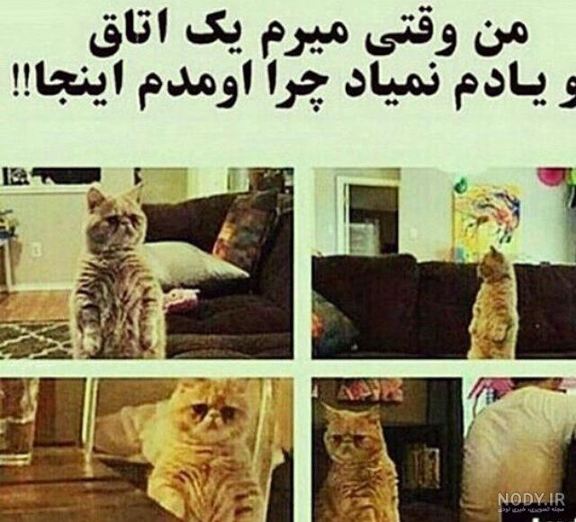 عکس های خنده دار دخترانه عکس های خنده دار دخترانه