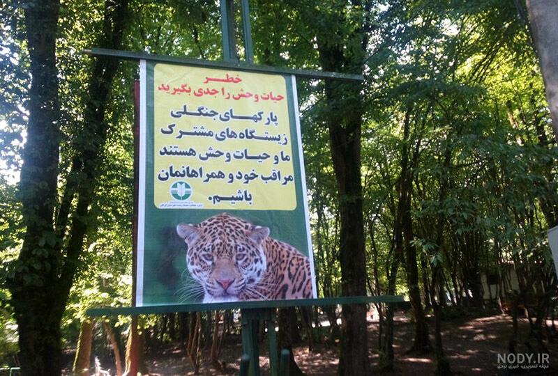 عکس وحشی ترین حیوانات جنگل