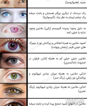 عکس چشم عسلی برای پروفایل