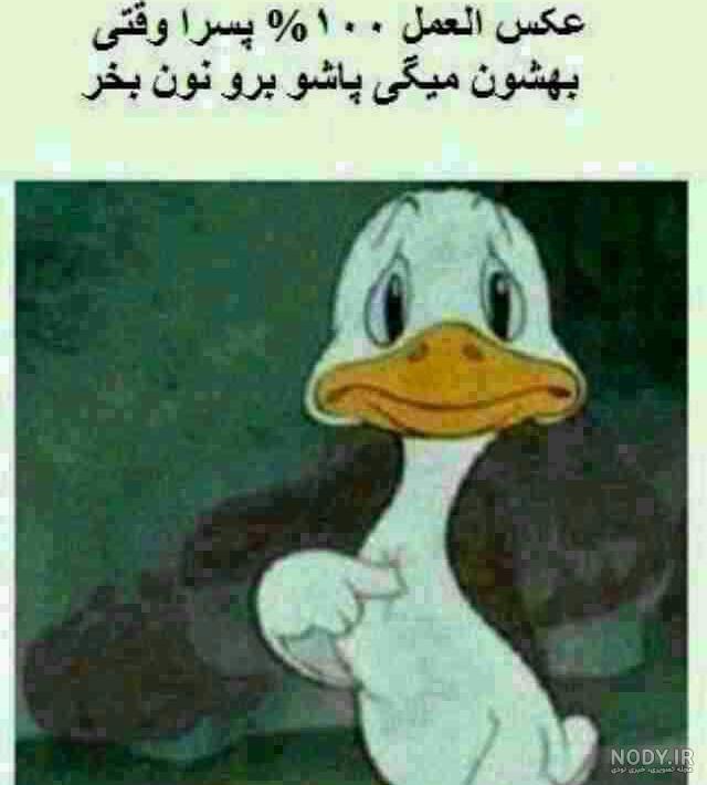 فیلم خنده دار از جوجه اردک فیلم خنده دار از جوجه اردک