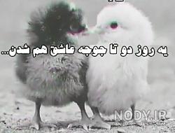 متن جوجه رو اخر پاییز میشمارن متن جوجه رو اخر پاییز میشمارن