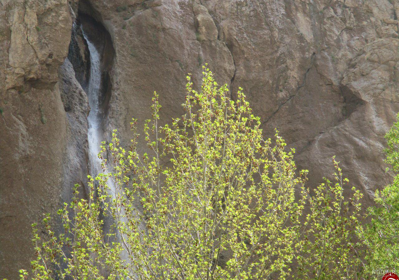 چشمه در کوه چشمه در کوه