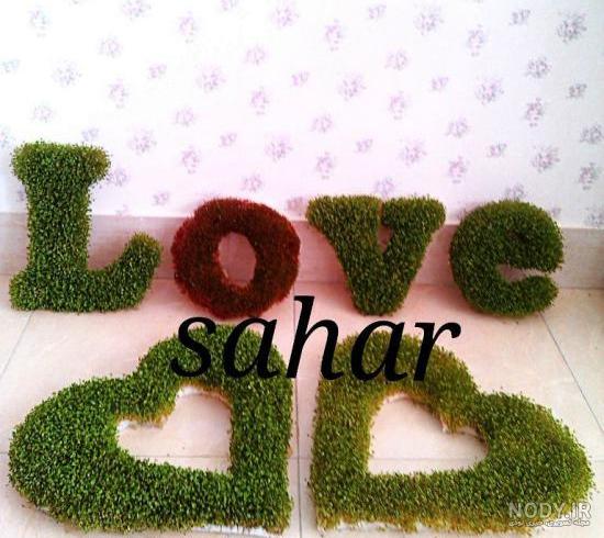 سبزه شیک برای عید سبزه شیک برای عید