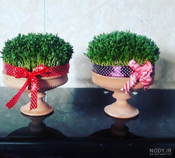 عکس سبزه عید با عروسک عکس سبزه عید با عروسک