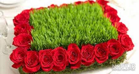 عکس سبزه عید عروس عکس سبزه عید عروس