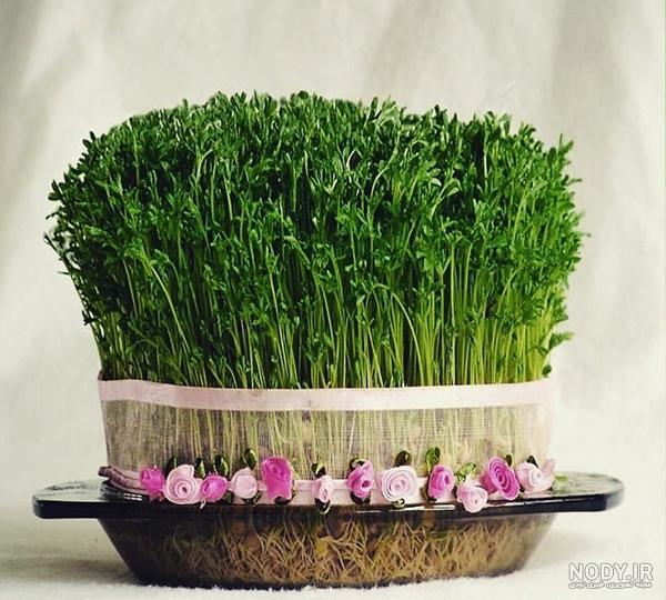 عکس سبزه عید کارتونی عکس سبزه عید کارتونی