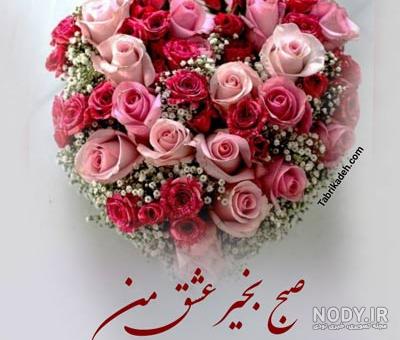 عکس صبح بخیر خنده دار عکس صبح بخیر خنده دار