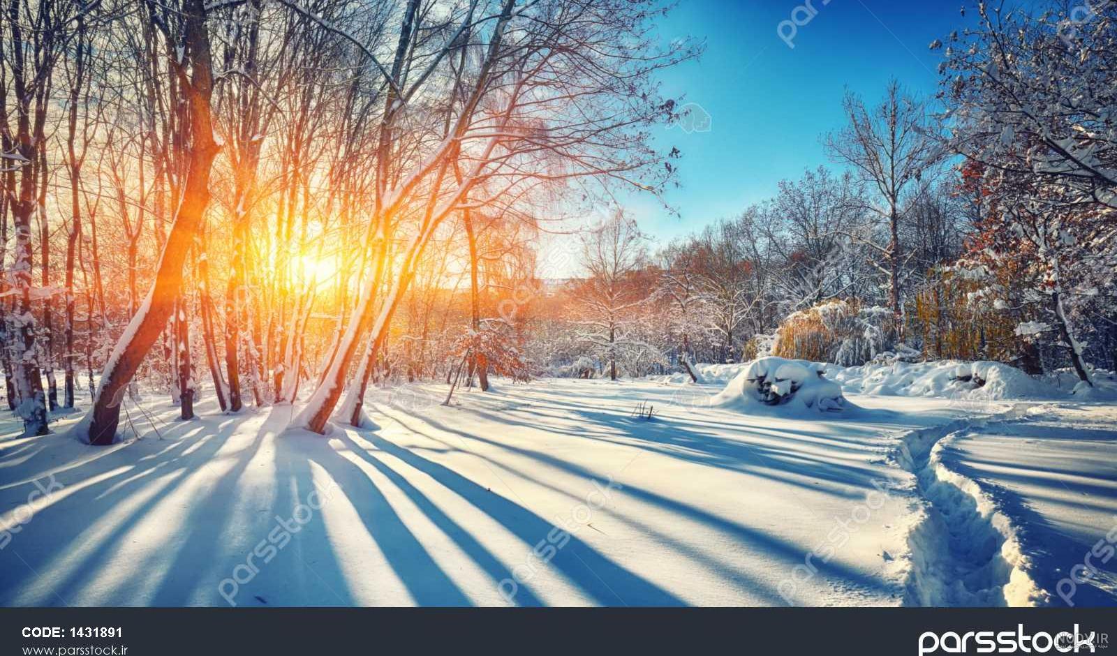 عکس طلوع خورشید طبیعی