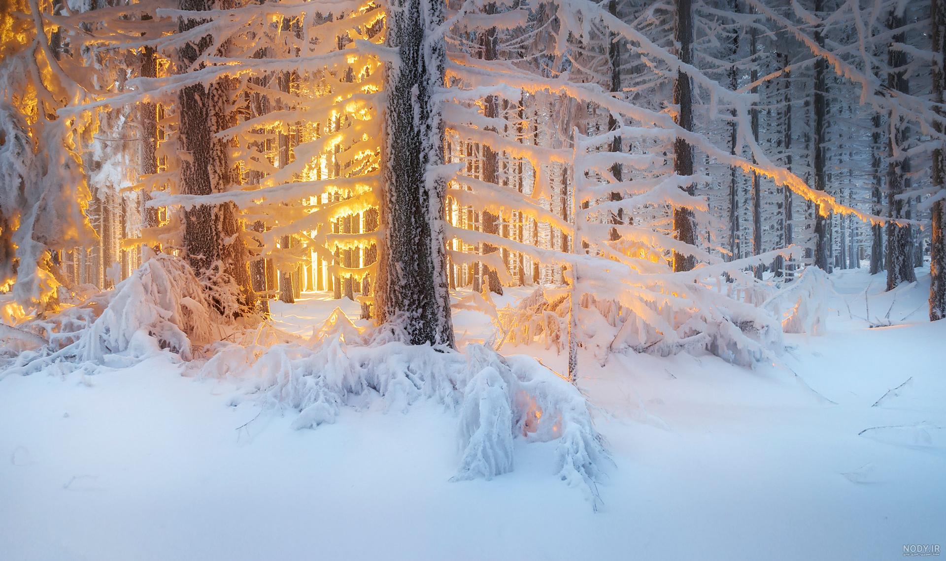 عکس خفن عکس طلوع زمستانی