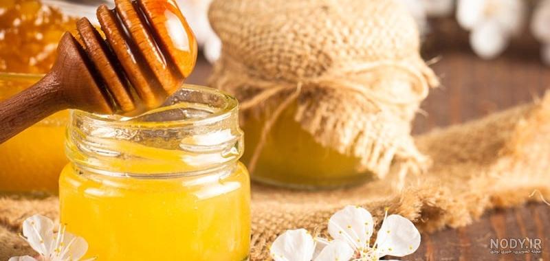 جمله برای عسل دوم ابتدایی جمله برای عسل دوم ابتدایی