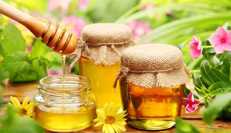 طریقه در آوردن عسل کوهی طریقه در آوردن عسل کوهی