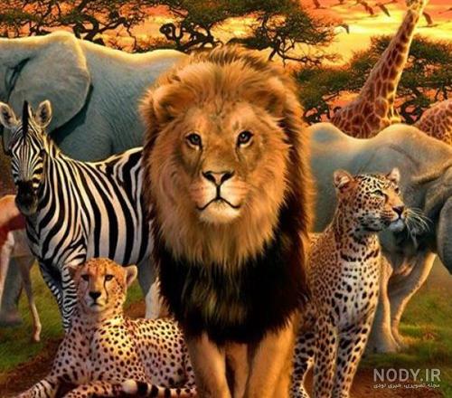 عکس حیوانات گوشتخوار
