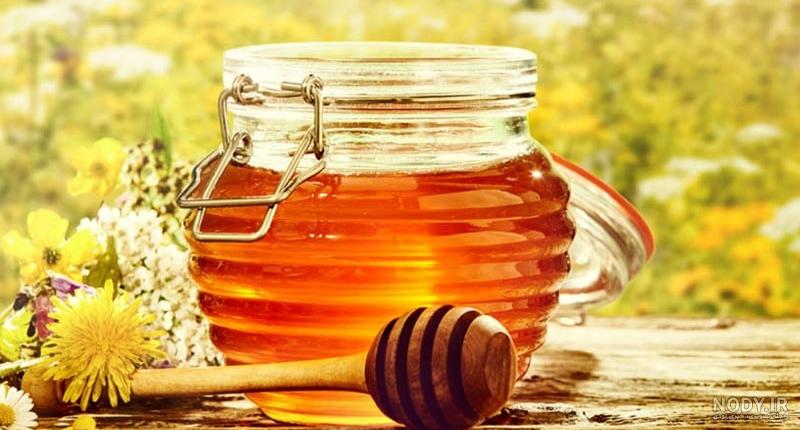 عکس عسل طبیعی وحشی عکس عسل طبیعی وحشی