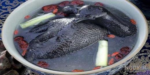 عکس غذا چینی ها