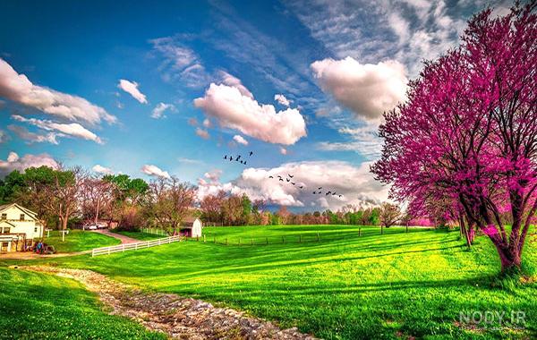 عکسهای منظره و طبیعت زیبا