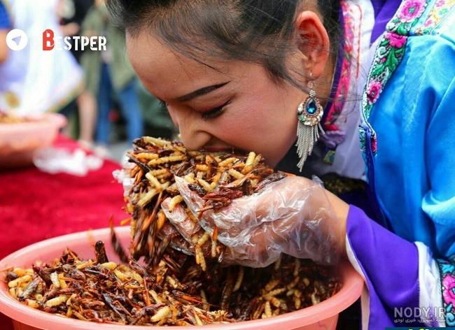 غذاهای وحشتناک چین