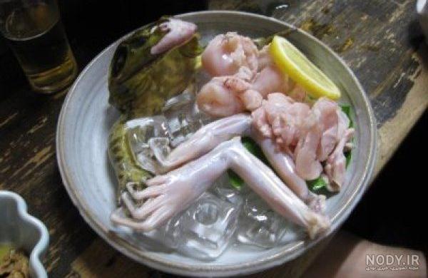 غذاهای چینی زنده