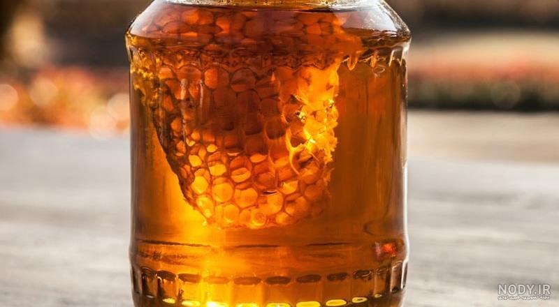 فصل برداشت عسل وحشی در بوشهر فصل برداشت عسل وحشی در بوشهر