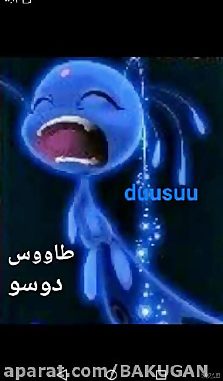 معجزه گر طاووس چه قدرتی دارد معجزه گر طاووس چه قدرتی دارد
