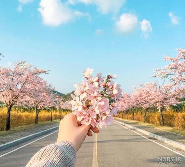 عکس عاشقانه بهاری دونفره عکس عاشقانه بهاری دونفره
