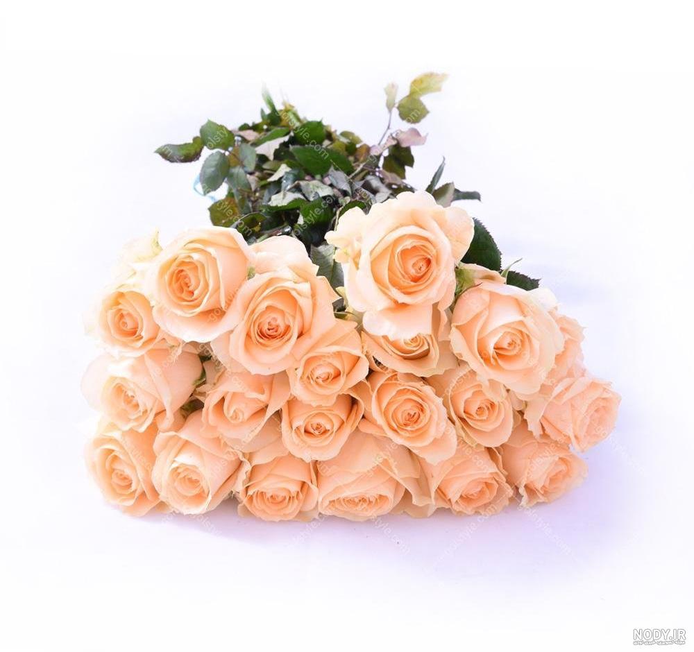 زیباترین عکس گل رز زرد زیباترین عکس گل رز زرد