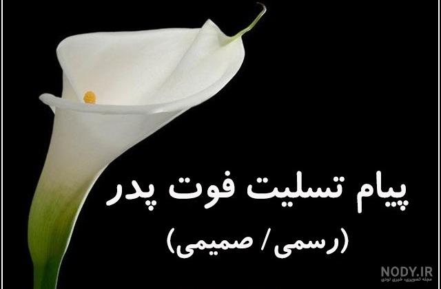 عکس نوشته پدر شوهر فوت شده