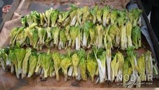 مضرات کرفس کوهی