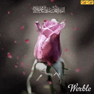 تصویر صلوات بر محمد تصویر صلوات بر محمد