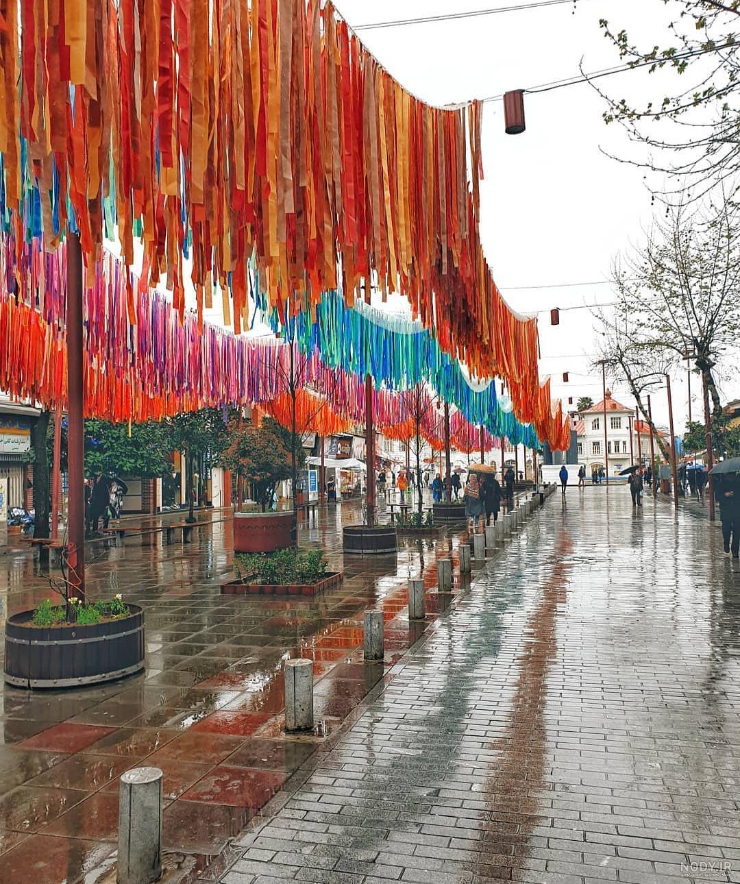 درخت پر شکوفه