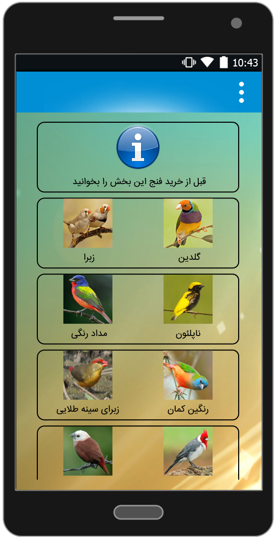 طوطي لوريكيت رنگين كمان