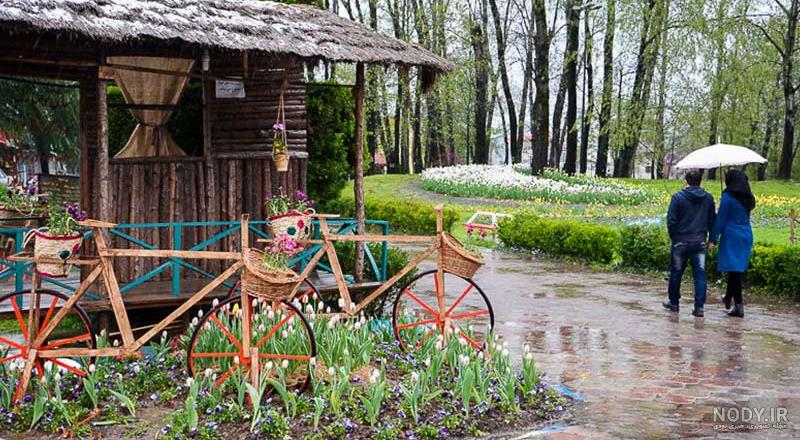 عکس شکوفه برای پروفایل