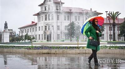 عکس شکوفه هلو