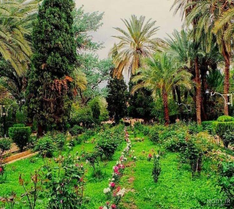 عکس طبیعت بهاری