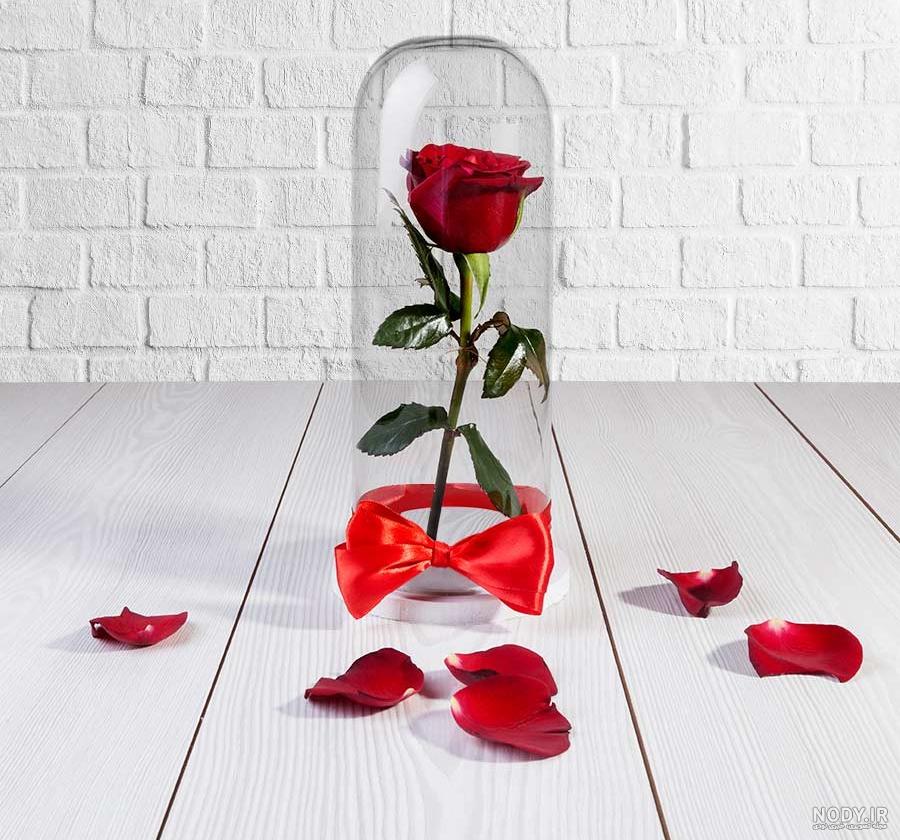 عکس گل پژمرده در گلدان