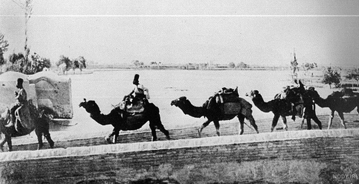 کیسه آب شتر کیسه آب شتر