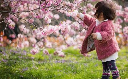 تصاویر بسیار زیبای طبیعت ژاپن تصاویر بسیار زیبای طبیعت ژاپن