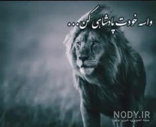 عکس شیر با متن لاتی