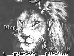 عکس شیرآلات