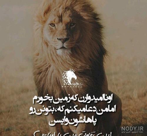 عکس لات شیراز