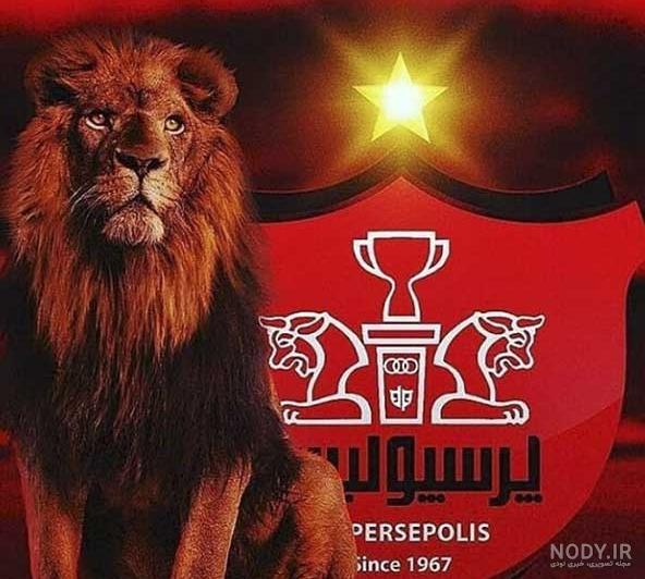عکس پروفایل لاتی شیر