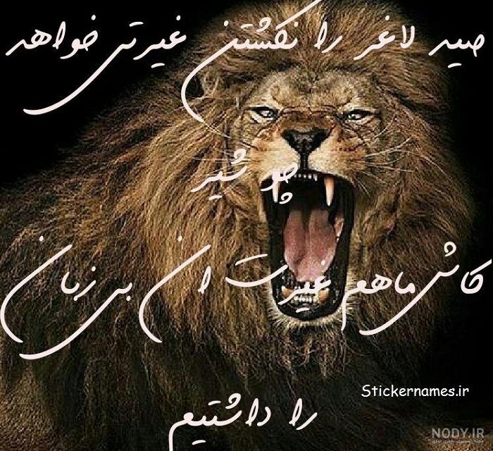 عکسهای لاتهای شیراز