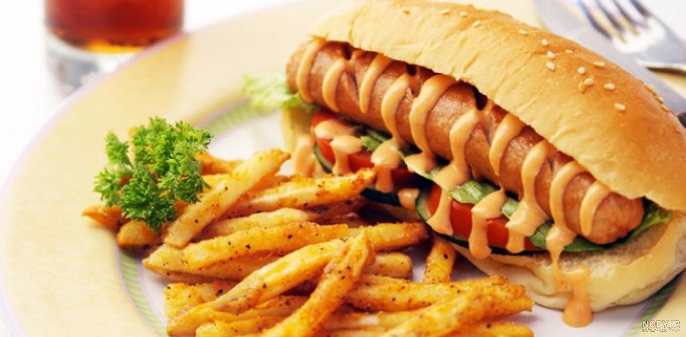 غذای عربی با گوشت غذای عربی با گوشت