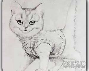 نقاشی صورت حیوان نقاشی صورت حیوان