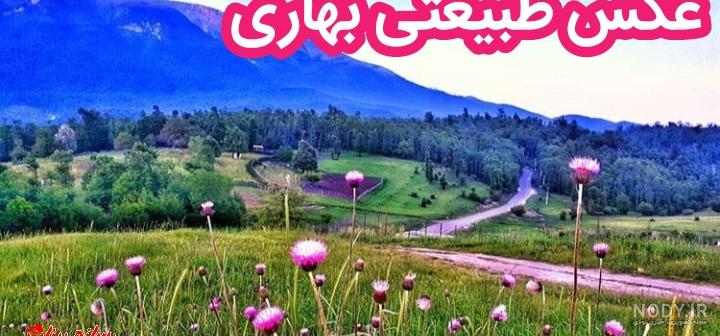 پروفایل بهاری شاد