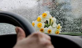 عاشقانه عکس دختر با گل برای پروفایل