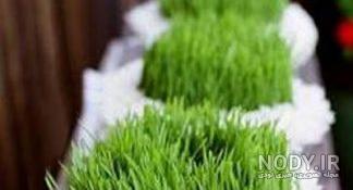 انواع سبزه ی عید انواع سبزه ی عید
