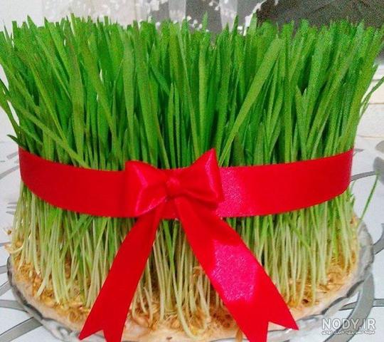 روش کاشت بذر شاهی برای سبزه عید روش کاشت بذر شاهی برای سبزه عید