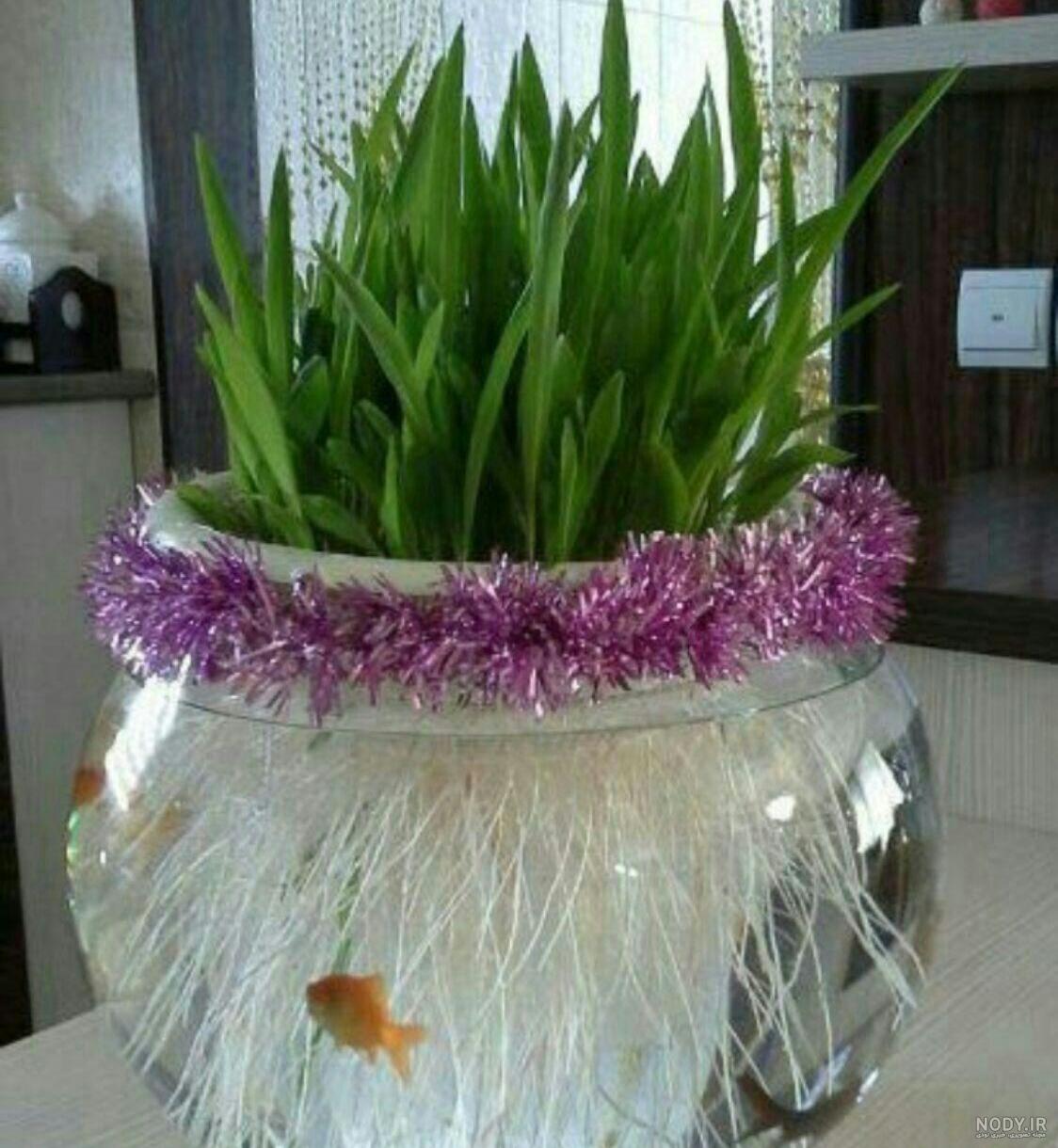 سبزه جو چه شکلیه سبزه جو چه شکلیه