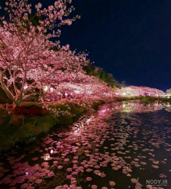 عکس آسمان شب با کیفیت بالا